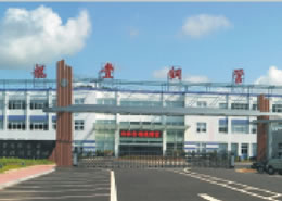 珠海龙丰精密铜管厂